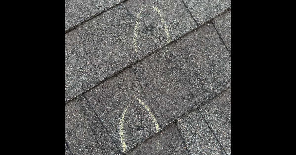 Two hail-damaged asphalt shingles marked with chalk circles by an insurance adjuster — visible impact craters within each marked area